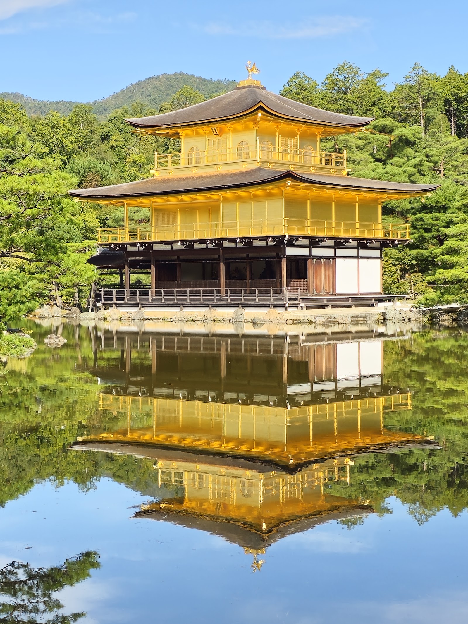 Day 2 — Golden Pavilion & Kaiseki Mastery